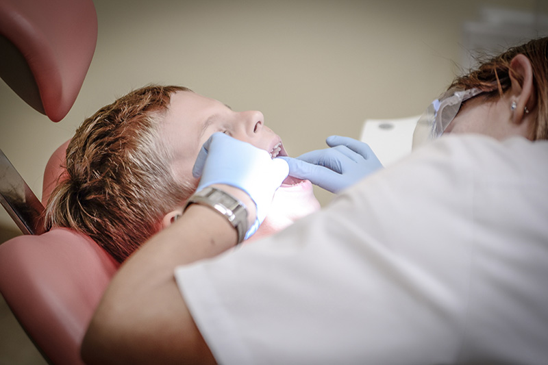 endodoncija1